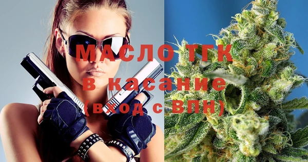 крисы Козельск