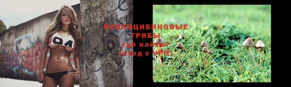 мескалин Козловка
