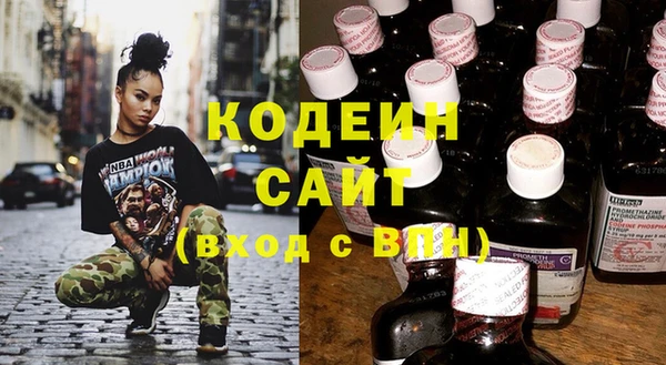 крисы Козельск