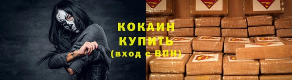 крисы Козельск