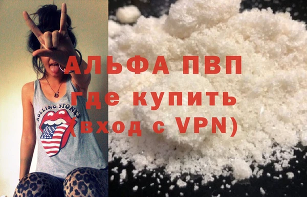крисы Козельск