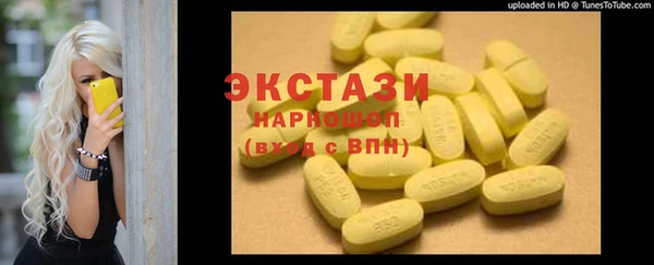 крисы Козельск