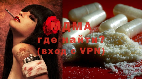 крисы Козельск
