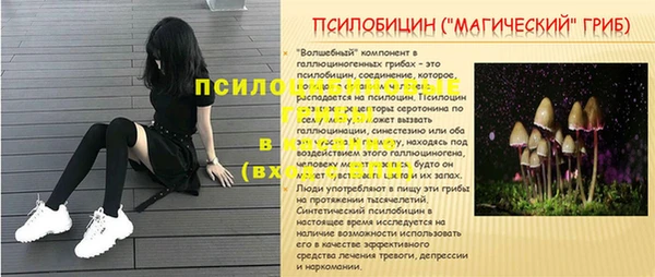 крисы Козельск