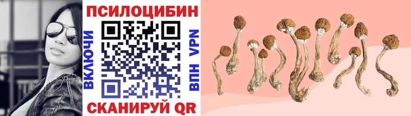 Псилоцибиновые грибы ЛСД  Пестово 